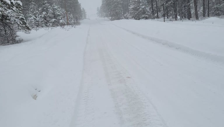 Large snowfall on a road