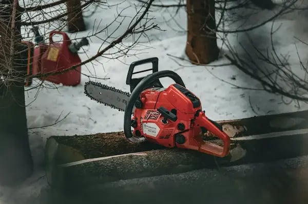 tree felling somerset west