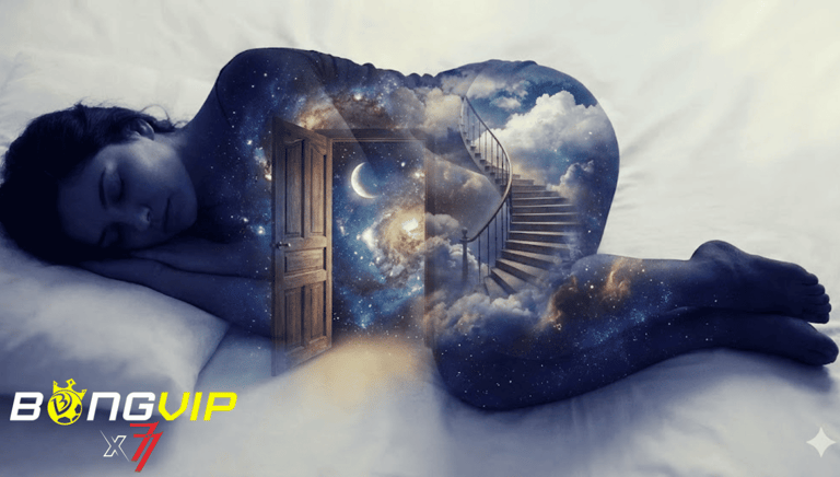 Khám phá thế giới bên trong giấc ngủ