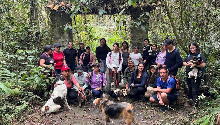 Un grupo de excursionistas con sus perros posando bajo un arco de piedra en un sendero de selva.