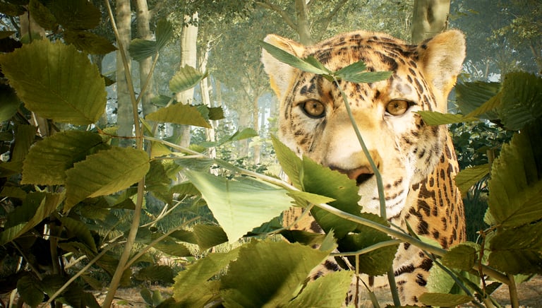 Close-up of a wild jaguar's face peering through dense green jungle leaves in a sunny forest.