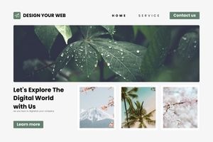Website Development