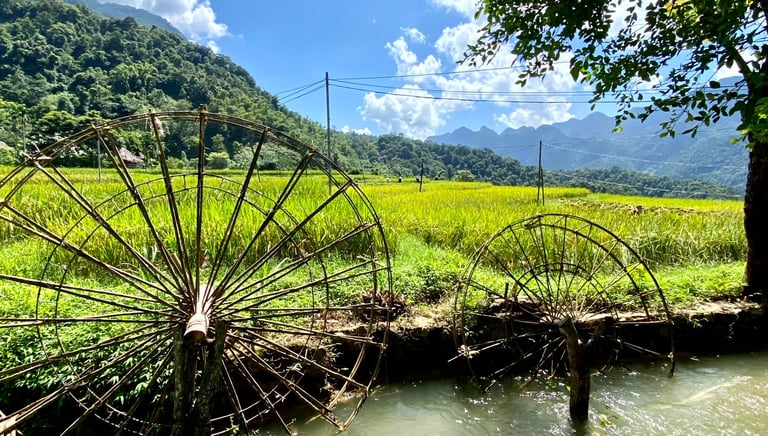 Tai Dam Homestay