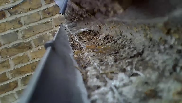 Gutter inspection camera checking the debris build up before cleaning