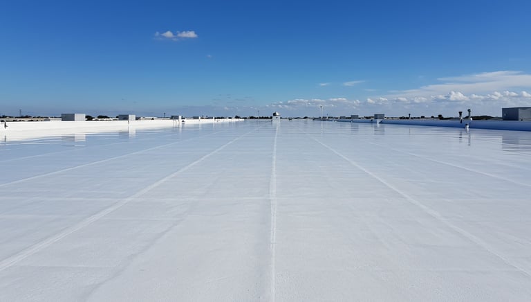 TPO Roof