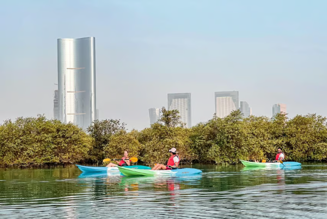 Kayak tour