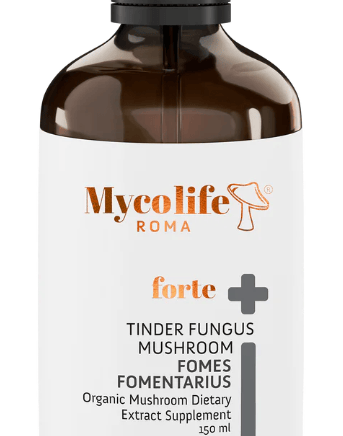 Mycolife Zunderschwamm Vitalpilz flüssig