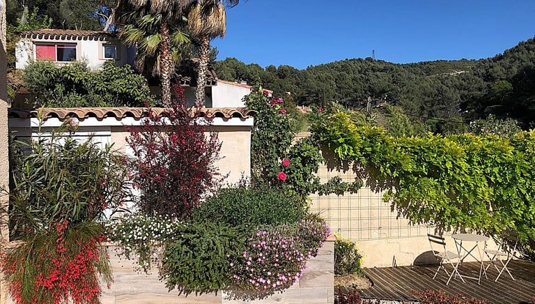 beau jardin avec nombreuses fleurs