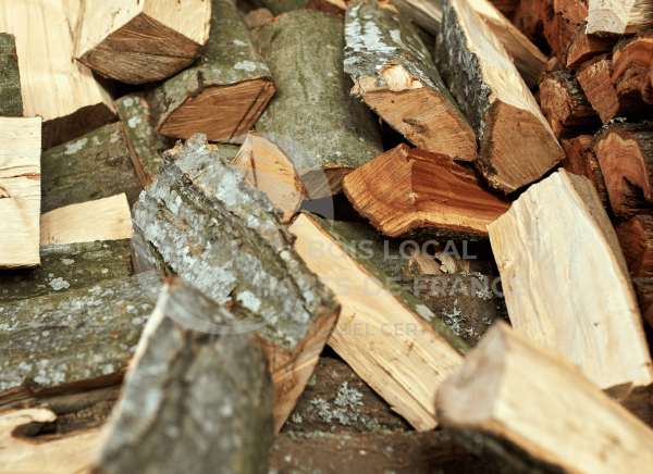 un tas de copeaux de bois