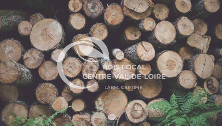 un tas de bûches avec des feuillages