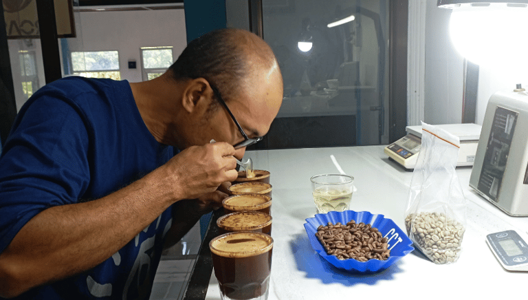 Coffee testing session at Dwipa Coffee – cupping Indonesian Arabica beans for quality assurance.