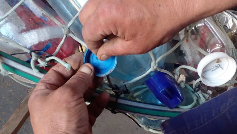 CONCIENCIA AMBIENTAL EN BAHIA SAN BLAS