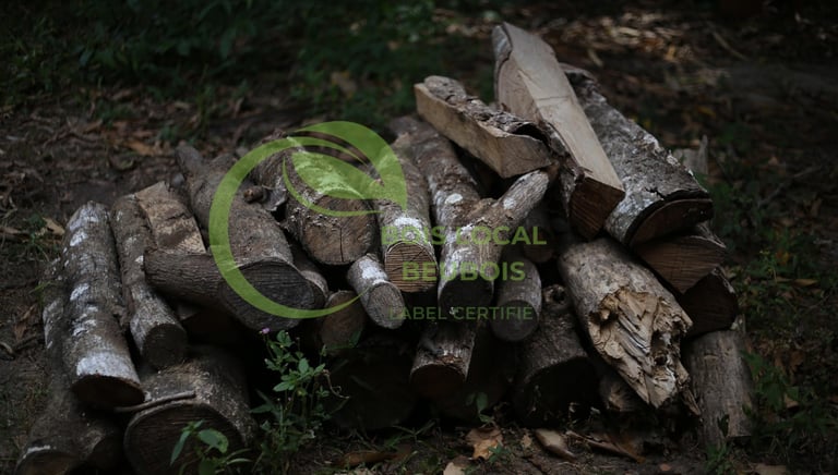 des bûches posées sur le sol