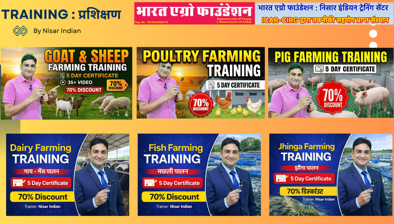 online training