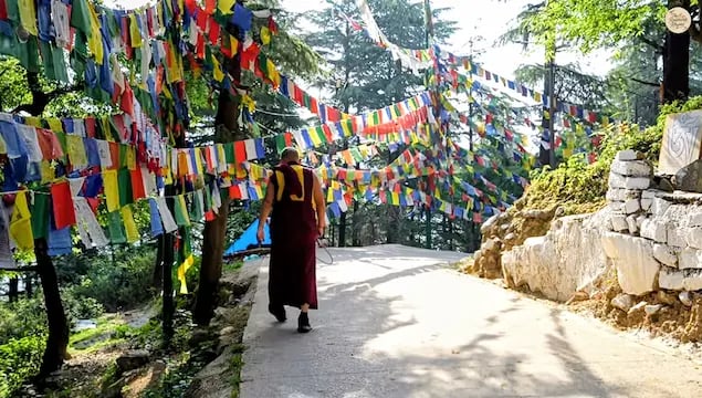 Prayer flags at Tushita Meditation Centre, Mcleodganj, dharamshala.