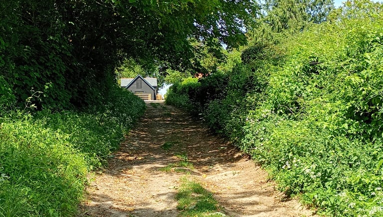 Sun-dappled dirt path leading to a small cottage framed by lush green trees and summer foliage.