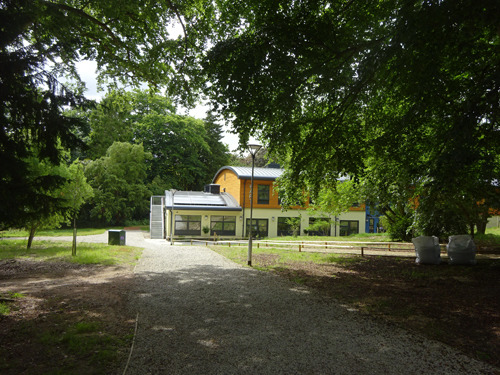 Modern school building surrounded by woodland.