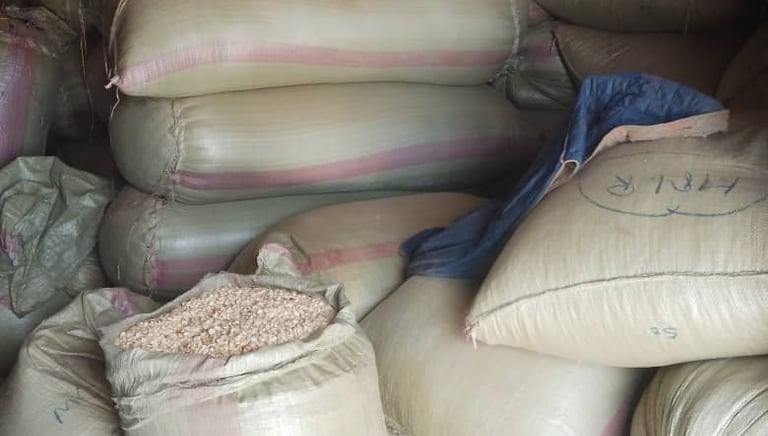 Mission accomplie : les sacs bien remplis scellent le cycle agricole,