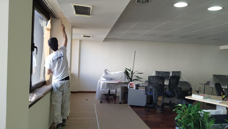 manitas empresa pintor