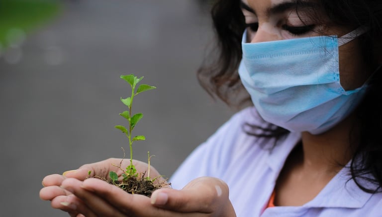 Janvriksha - Social science research and analytics services for evidence-based decision-making