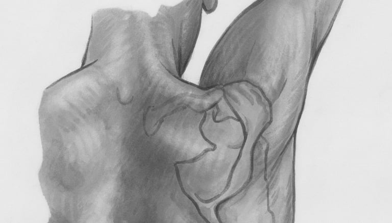back shoulder grey drawing