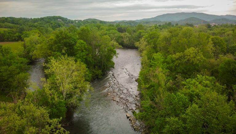 Sycamore Shoals Watauga River Elizabethton TN