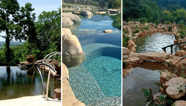 Three natural pool styles: traditional, hybrid & naturalistic design types | Aqua Vitae showcase