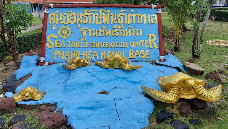 thailand khao lak turtle conservation centre