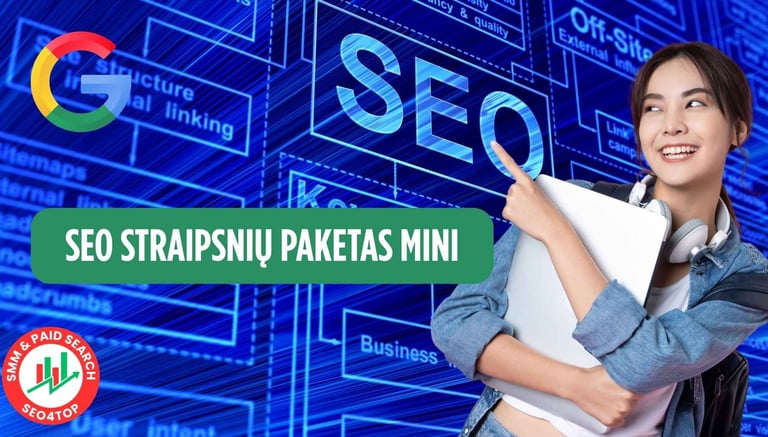 SEO straipsnių paketas MINI
