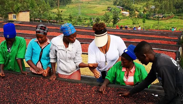 a group of people standing around a table with coffee beans