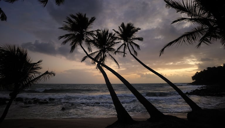 Lever de soleil aux îles du Salut en Guyane