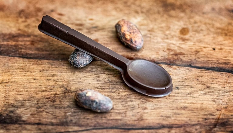 des produits en chocolat fabriqués à partir de fèves de Guyane