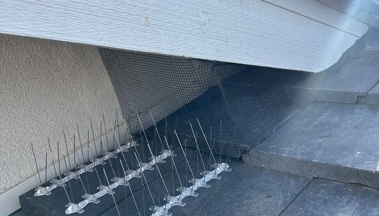 Bird Proof Screening and bird spike installed on roof overhang in Phoenix AZ