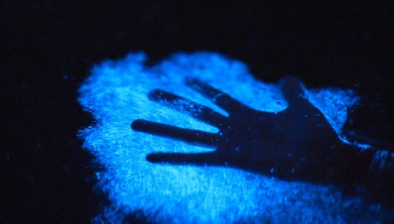 a person's hand is touching a glowing blue bioluminescent water