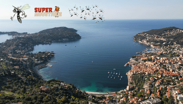 Démoustication à Villefranche-sur-Mer – SuperMoustique, votre expert anti-moustique local