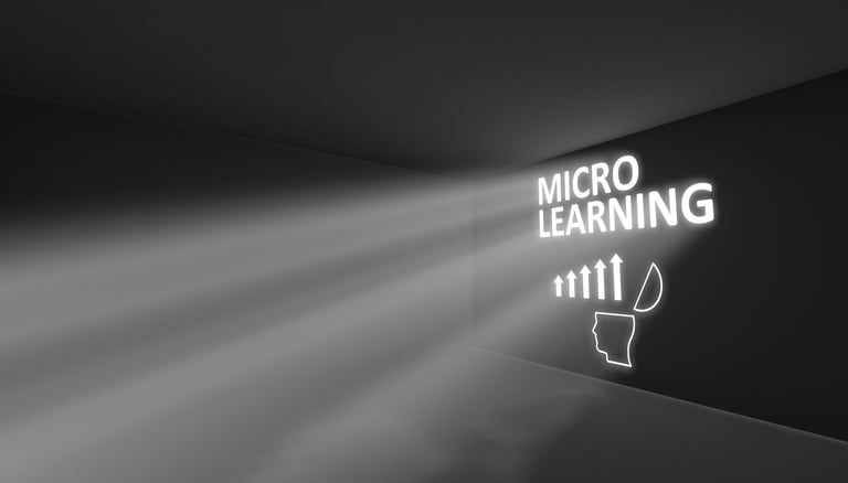 Microlearnsupport.nl