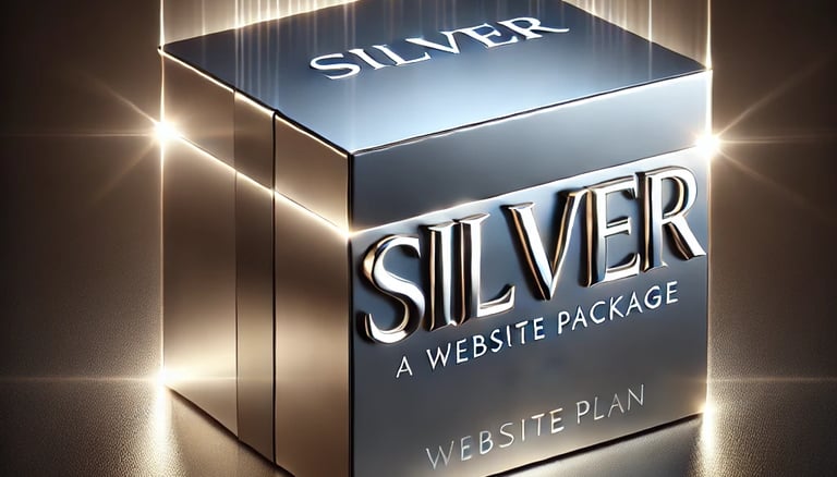 silver colored package for website plans