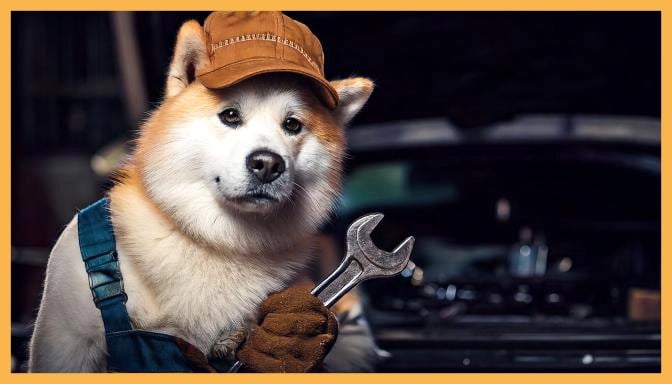 Akita dog mechanic in a cap with a wrench during premium 24h dog care and pet sitting in Zurich now.