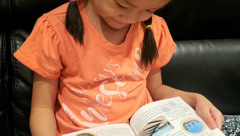 Toronto city guide & journal in child's lap