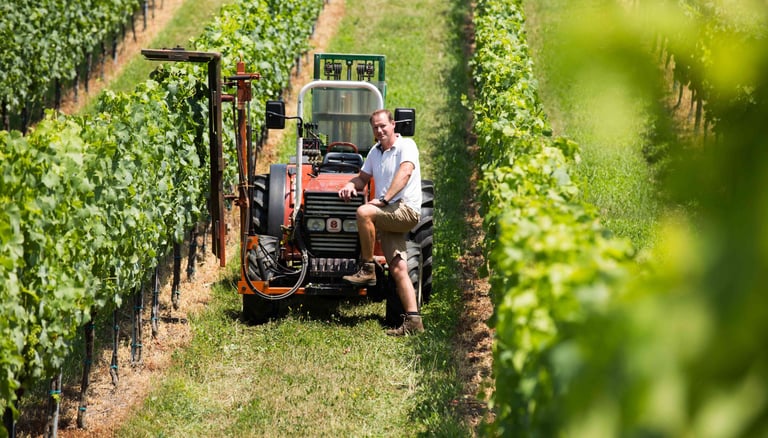 Mann mit Traktor im Weingarten
