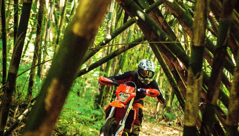 Bali dirt bike tours