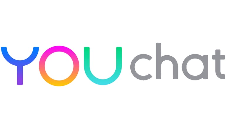 YOU CHAT AI TOOLS BOOKS 