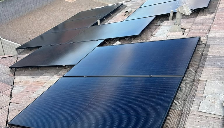 solar panel cleaning removing dirt and bird droppings Phoenix Arizona