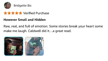 However Small and Hidden, Book Cover, Written by Alan Caldwell, Author, Writer