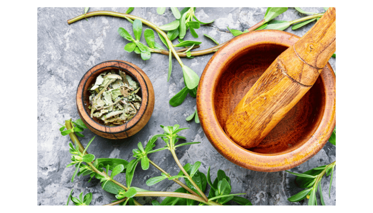 fresh and dried purslane leaves