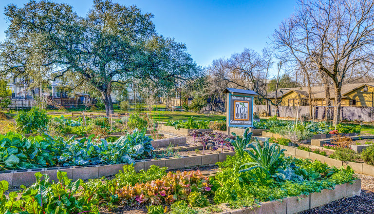 Historic home with spotless windows, window cleaning in Mahncke Park, TX