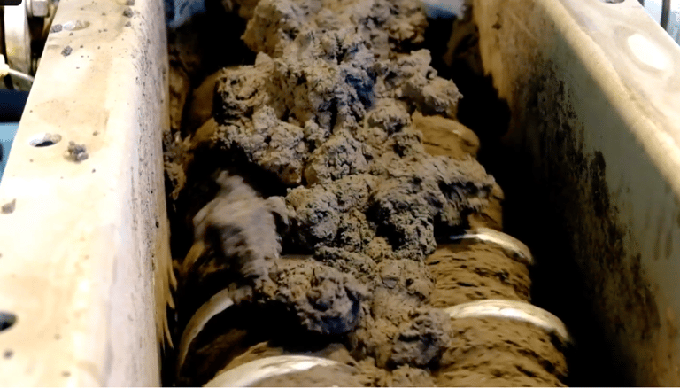 Municipal sludge drying in paddle dryer for waste-to-energy conversion