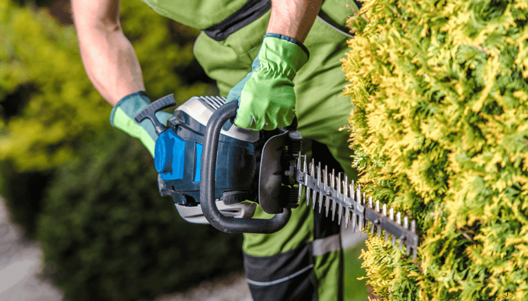 Jardinier taille une haie