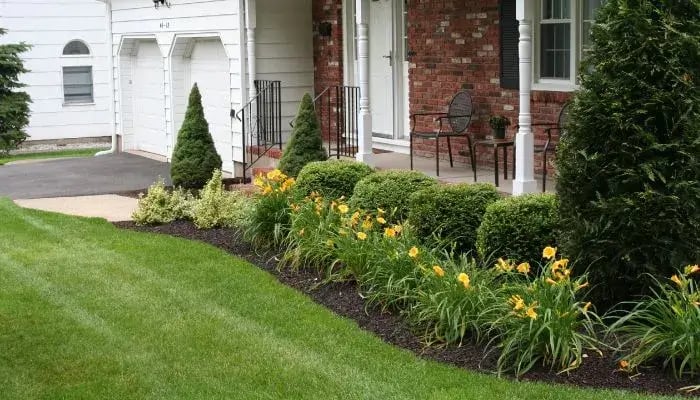 a house with a lawn and a lawn