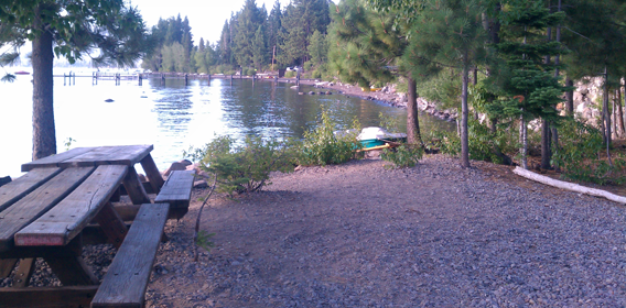 top dog friendly beaches north lake tahoe
